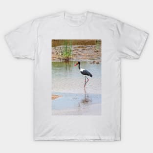 Saddle-billed stork T-Shirt